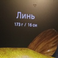 ivanich14