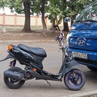 KOROL_ZADROTOV_